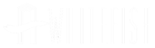 White Fich